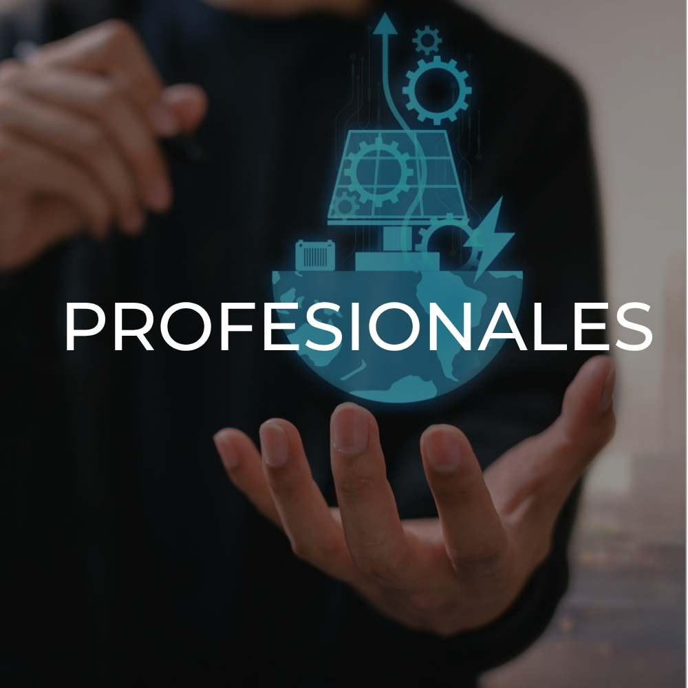 profesionales